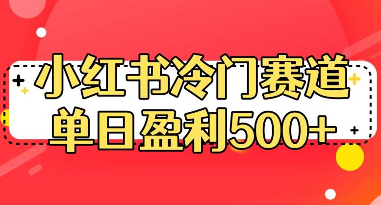 小红书冷门赛道，单日盈利500+【揭秘】-林文副业站