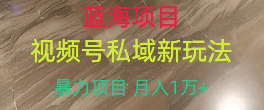 蓝海项目，视频号私域新玩法，暴力项目月入1万+【揭秘】-林文副业站