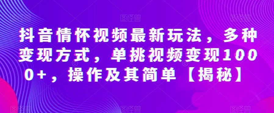 抖音情怀视频最新玩法，多种变现方式，单挑视频变现1000+，操作及其简单【揭秘】-林文副业站