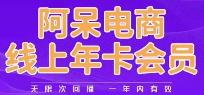 阿呆电商线上年会员，阿呆电商干货分享（更新中）-林文副业站
