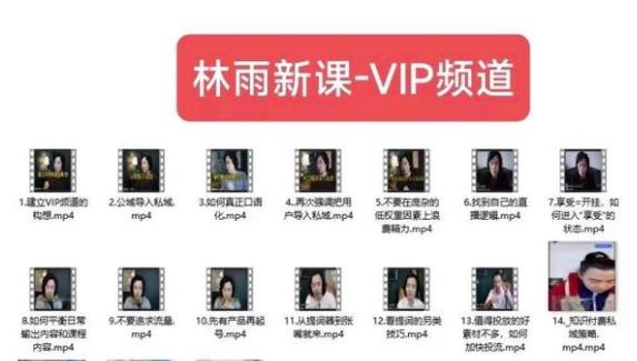 林雨新课VIP频道，玩赚私域/朋友圈/社群-林文副业站