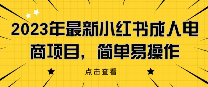 2023年最新小红书成人电商项目，简单易操作【详细教程】【揭秘】-林文副业站