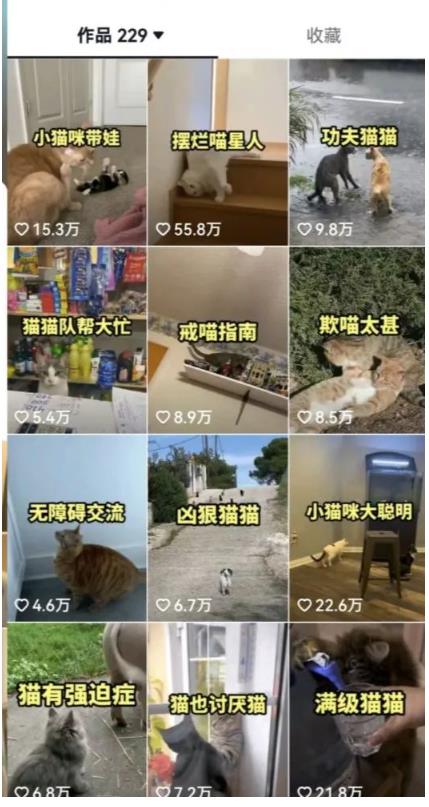 拆解：抖音盘点类中视频变现副业项目，视频版一条龙大解析分享给你-林文副业站