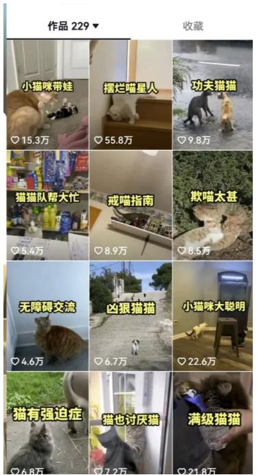 拆解抖音盘点类中视频变现副业项目，视频版一条龙大解析分享给你【视频课程】-林文副业站