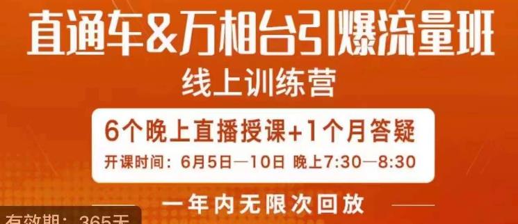 直通车&万相台引爆流量班，6天打通你开直通车·万相台的任督二脉-林文副业站