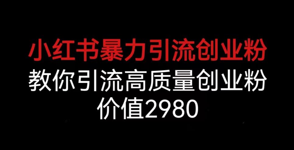 小红书暴力引流创业粉，教你引流高质量创业粉，价值2980【揭秘】-林文副业站