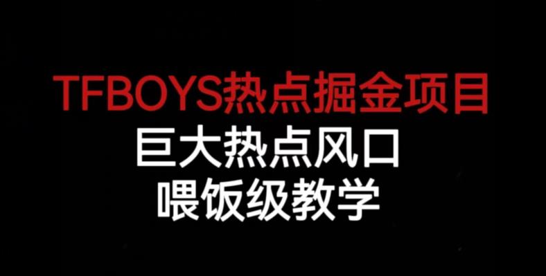 TFBOYS热点掘金项目，巨大热点风口，喂饭级教学-林文副业站
