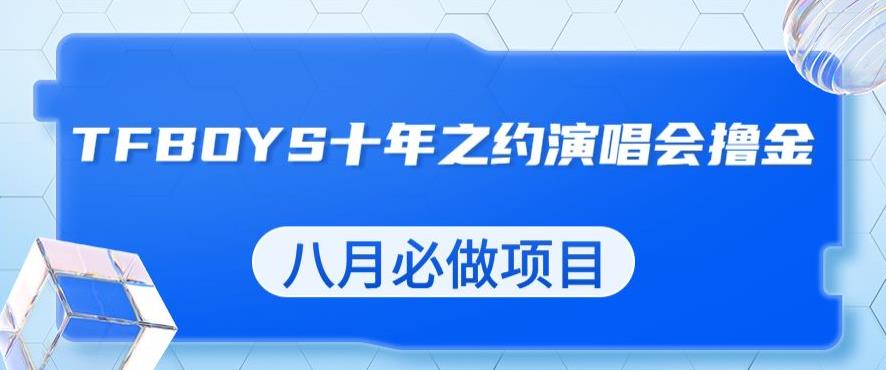 最新蓝海项目，靠最近非常火的TFBOYS十年之约演唱会流量掘金，八月必做的项目【揭秘】-林文副业站