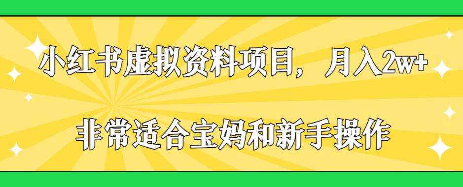 小红书虚拟资料项目，月入2w+，非常适合宝妈和新手操作【揭秘】-林文副业站