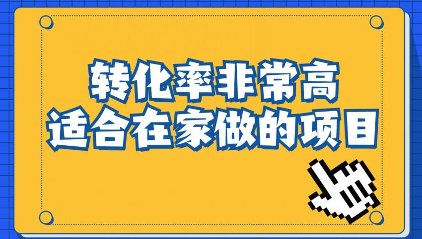 小红书虚拟电商项目：从小白到精英（视频课程+交付手册）-林文副业站
