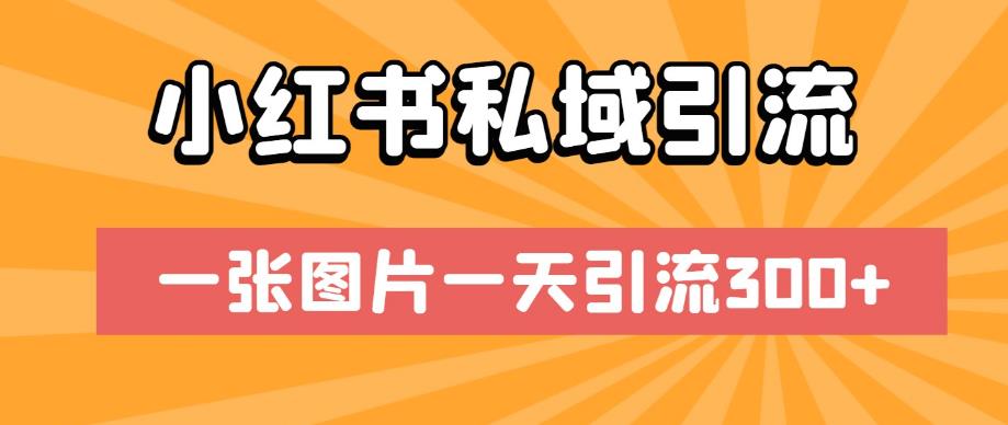 小红书私域引流，一张图片一天引流300+【揭秘】-林文副业站