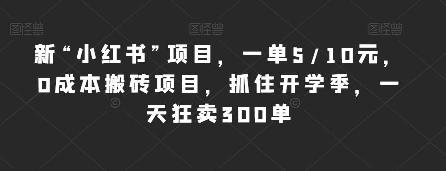 新“小红书”项目，一单5/10元，0成本搬砖项目，抓住开学季，一天狂卖300单【揭秘】-林文副业站