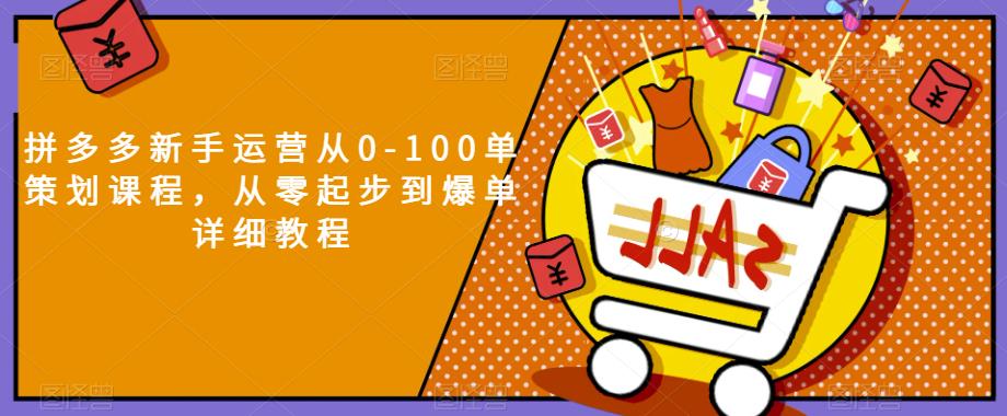 拼多多新手运营从0-100单策划课程，从零起步到爆单详细教程-林文副业站