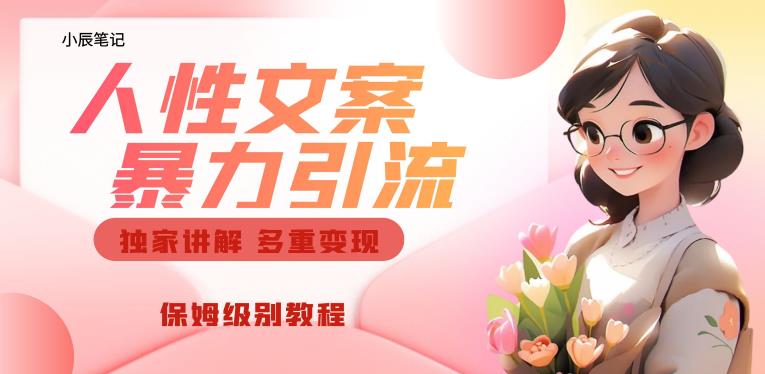 独家人性文案玩法，暴力引流多重变现，保姆级教程【揭秘】-林文副业站