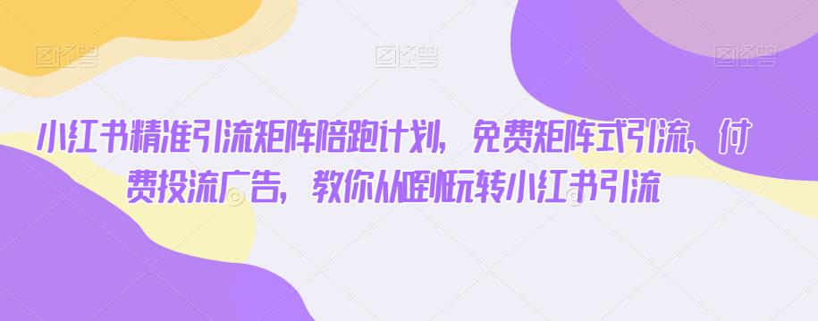 小红书精准引流矩阵陪跑计划，免费矩阵式引流，付费投流广告，教你从0到1玩转小红书引流-林文副业站