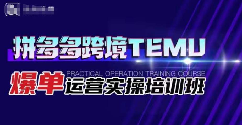 拼多多跨境TEMU爆单运营实操培训班，海外拼多多的选品、运营、爆单-林文副业站