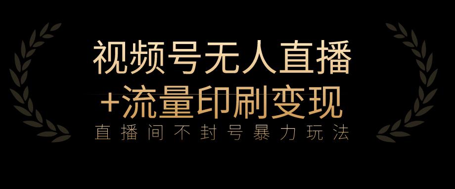 全网首发视频号不封号无人直播暴利玩法+流量印刷机变现，日入1000+【揭秘】-林文副业站