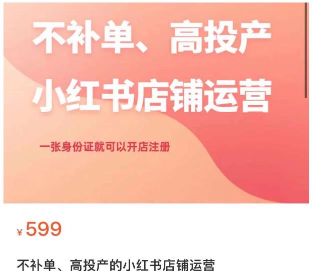 不补单、高投产的小红书店铺运营，一张身份证就可以开店注册-林文副业站