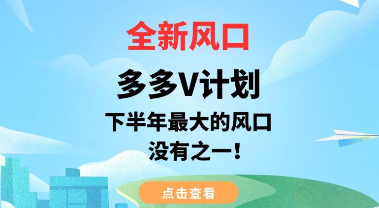 全新风口，多多V计划，下半年最大的风口项目，没有之一【揭秘】-林文副业站