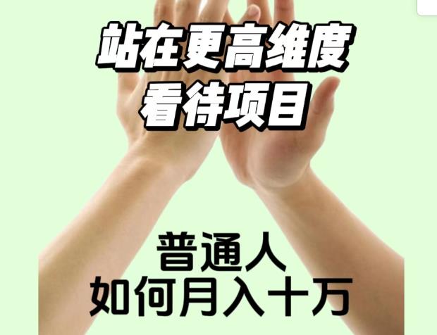 2023最火项目：站在更高维度看待项目，普通人如何月入十万【揭秘】-林文副业站