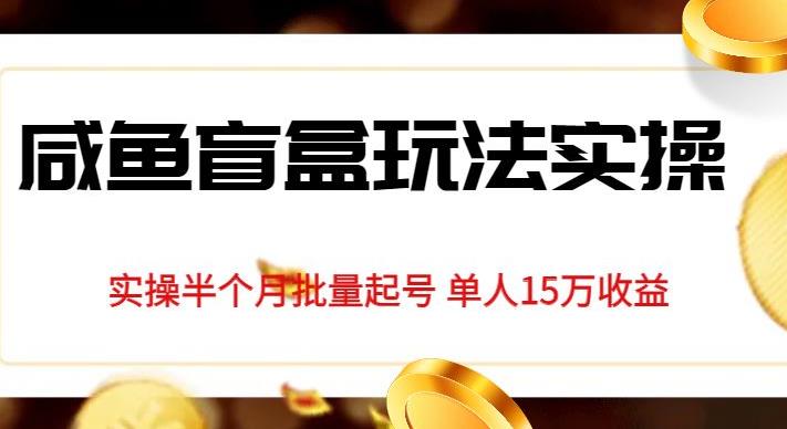 独家首发咸鱼盲盒玩法实操，半个月批量起号单人15万收益【揭秘】-林文副业站