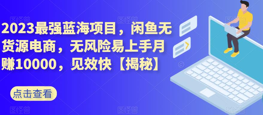 2023最强蓝海项目，闲鱼无货源电商，无风险易上手月赚10000，见效快【揭秘】-林文副业站