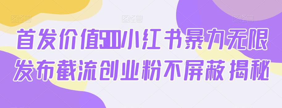 首发价值5100小红书暴力无限发布截流创业粉不屏蔽揭秘-林文副业站