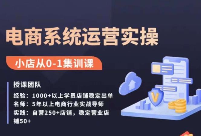 抖店精细化运营全案课，抖音​小店从0-1集训营，电商系统运营实操课-林文副业站