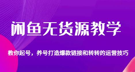 闲鱼无货源教学，教你起号，养号打造爆款链接以及转转的运营技巧-林文副业站