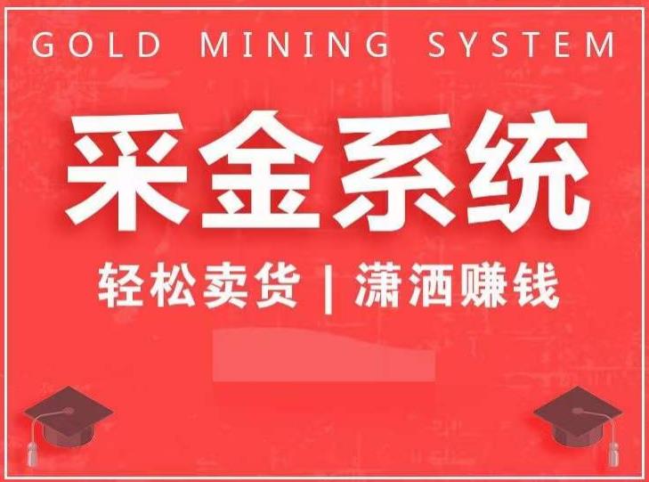 采金系统2.0，私域成交，快速成交收钱，轻松卖货，业绩暴涨，潇洒赚钱-林文副业站