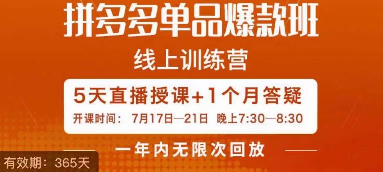 钟辰·拼多多单品爆款班，一个拼多多超级爆款养一个团队-林文副业站