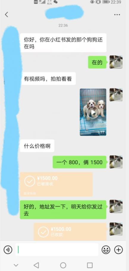 外边收费3980的同城萌宠项目，用最冷门的玩法冲击最热门的市场【揭秘】-林文副业站