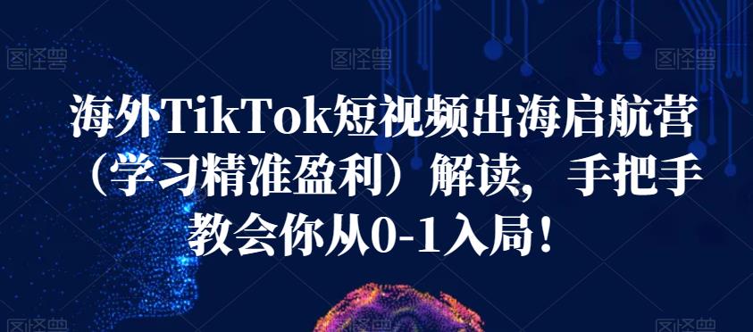 海外TikTok短视频出海启航营（学习精准盈利）解读，手把手教会你从0-1入局！-林文副业站