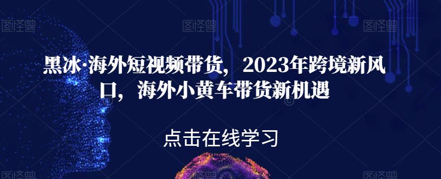黑冰·海外短视频带货，2023年跨境新风口，海外小黄车带货新机遇-林文副业站