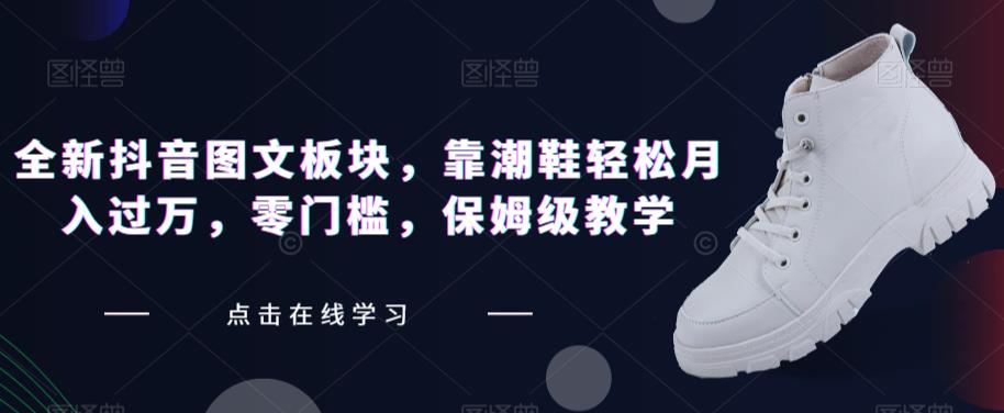 全新抖音图文板块，靠潮鞋轻松月入过万，零门槛，保姆级教学【揭秘】-林文副业站