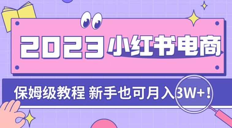 阿本小红书电商陪跑营4.0，带大家从0到1把小红书做起来-林文副业站
