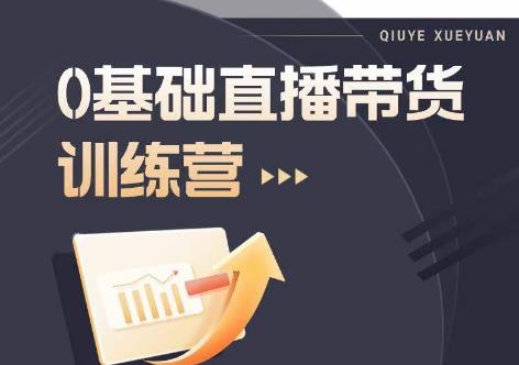2023直播带货入门进阶运营实训课程，新手直播运营培训实操课-林文副业站