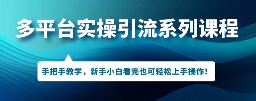 多平台引流实操系列课程，新手小白看完也可轻松上手进行引流操作-林文副业站