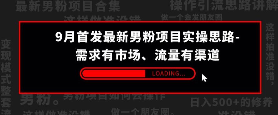 9月首发最新男粉项目实操思路-需求有市场，流量有渠道【揭秘】-林文副业站