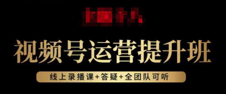 视频号运营提升班：视频号起号逻辑，视频号选品技巧及带货-林文副业站