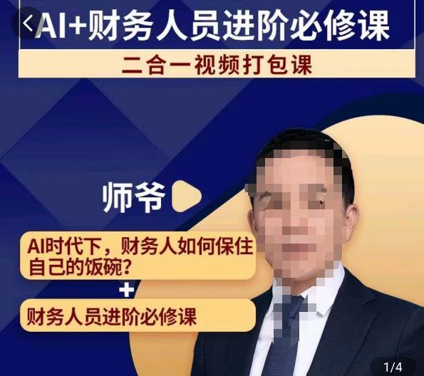 AI+财务人员进阶必修课二合一视频打包课，财务人员进阶必修课-林文副业站