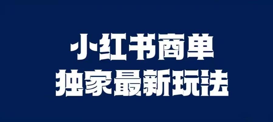 小红书商单最新独家玩法，剪辑时间短，剪辑难度低，能批量做号【揭秘】-林文副业站