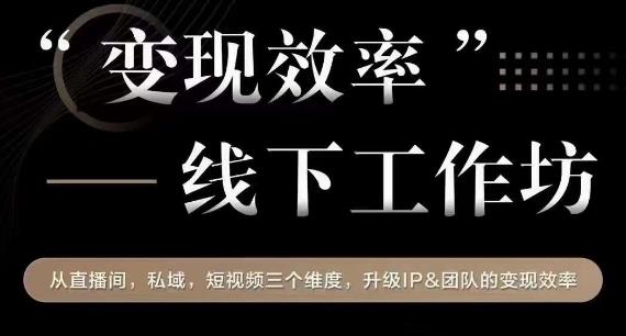 变现效率线下工作坊，从‮播直‬间、私域、‮视短‬频‮个三‬维度，升级IP和团队变现效率-林文副业站