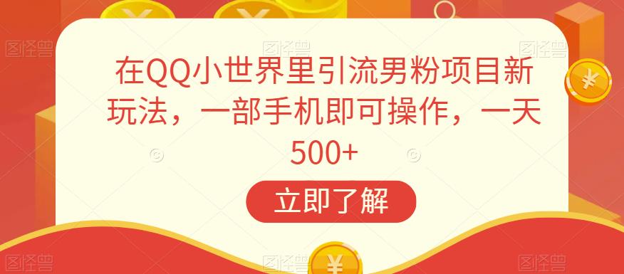 在QQ小世界里引流男粉项目新玩法，一部手机即可操作，一天500+【揭秘】-林文副业站