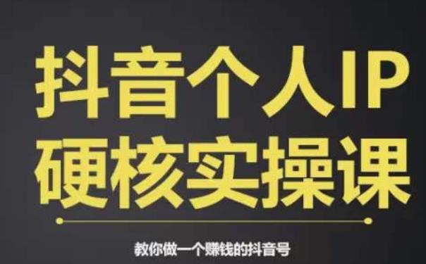 个人IP创富系统实战课，商业定位，流量打造，短视频变现，教你做个赚钱的抖音号-林文副业站