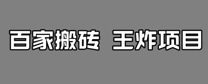 百家最新搬运玩法，单号月入5000+【揭秘】-林文副业站