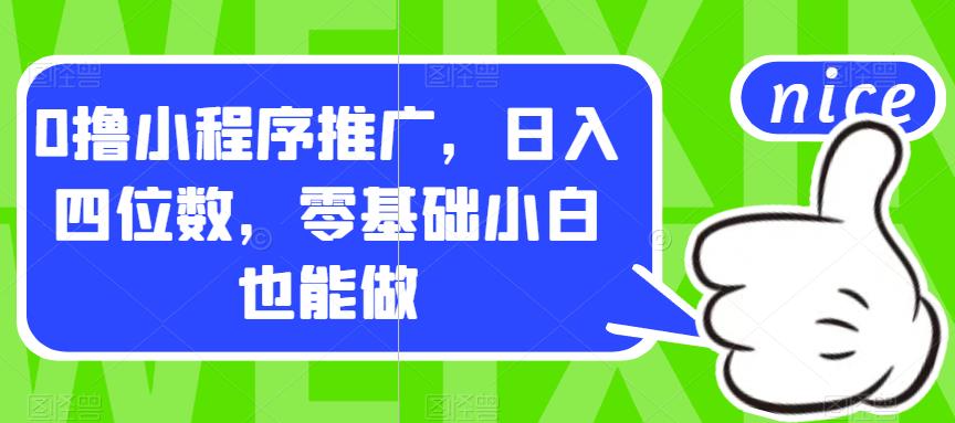 0撸小程序推广，日入四位数，零基础小白也能做【揭秘】-林文副业站