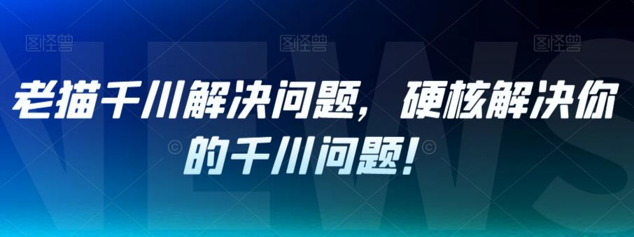 老猫千川解决问题，硬核解决你的千川问题！-林文副业站