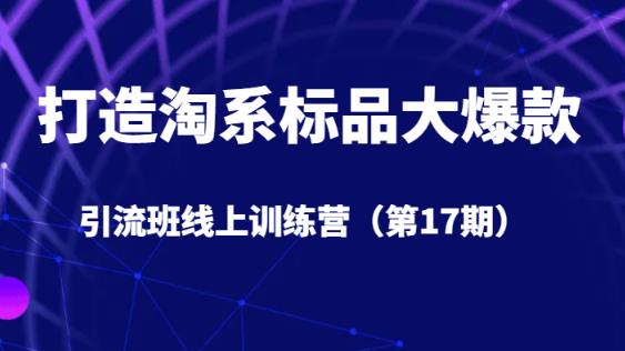 打造淘系标品大爆款引流班线上训练营（第17期）5天直播授课-林文副业站