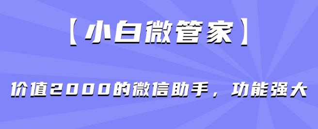 【小白微管家】价值2000的微信助手，功能强大-林文副业站